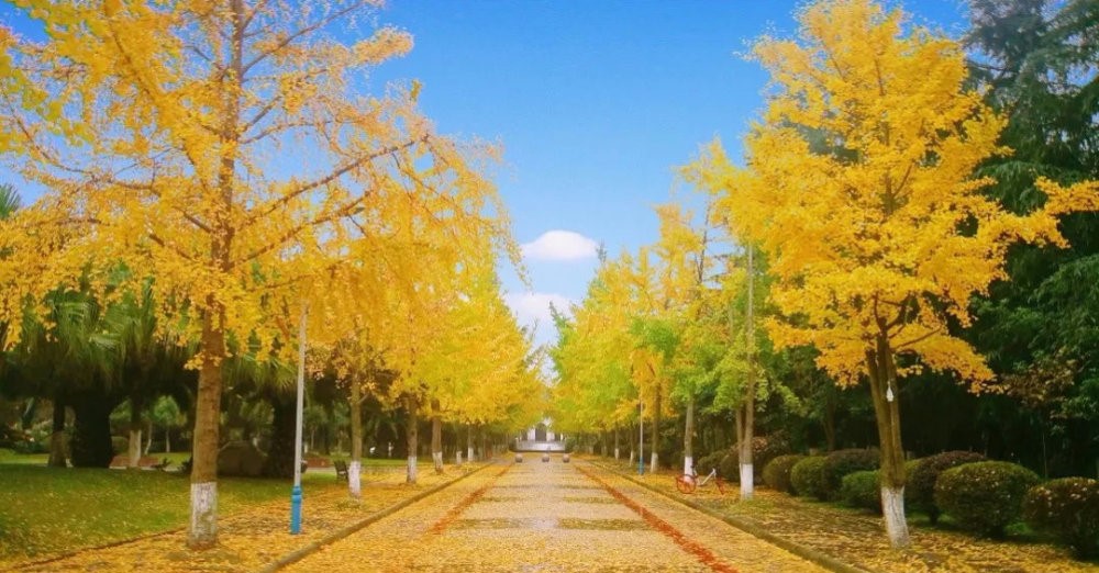 各地留学生回国优惠政策及落户条件？_出国留学_西培留学