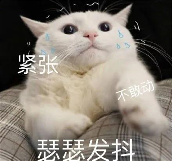 留学生到底要不要上网课？(图1)