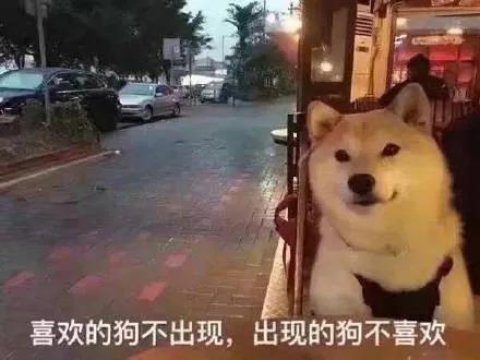 留学圈的恋爱潜规则--乌克兰留学