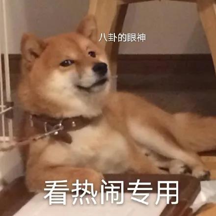 留学圈的恋爱潜规则--乌克兰留学