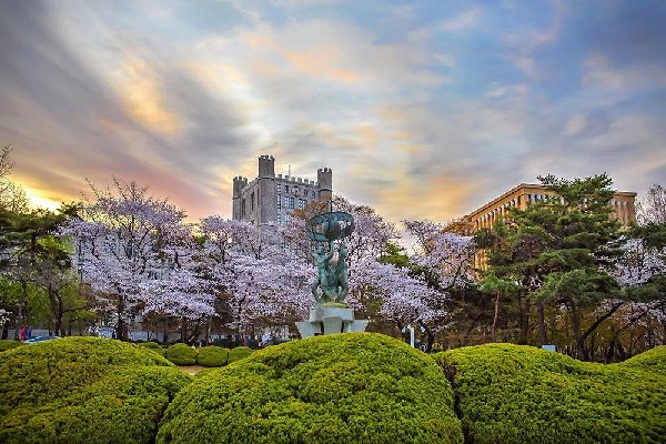 韩国延世大学
